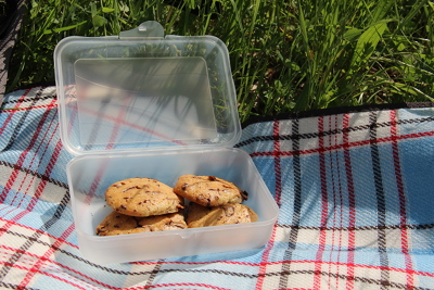 cookie_picknick