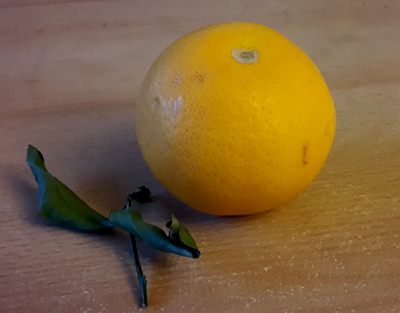 Frische spanische Orangen - das ist Aromatherapie zum Essen