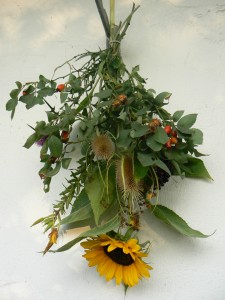 Königskerze, Sonnenblume (vom Selbstpflückfeld, 70 Cent ;-)),  Holunder,  Hagebutte (als Rosengewächs),  Johanniskraut, Distel und die wilde Karde (ihre neue Lieblingspflanze) hat Astrid in ihren Buschen gebunden.